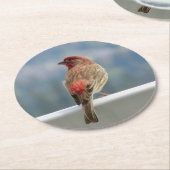 Red Finchビューをチェックアウト中。 ラウンドペーパーコースター (アングル)