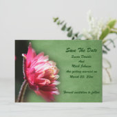 Red Flower Wedding  セーブザデート (スタンド正面)