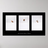 Red Fox ポスター (正面)