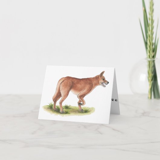 Red Fox Blank Note Card カード (正面)