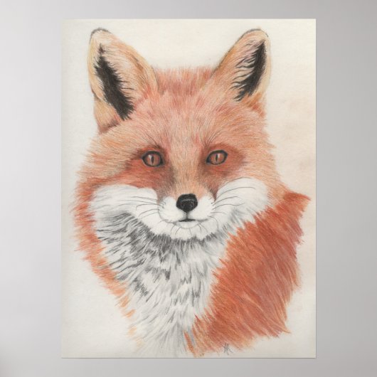 Red Fox Colored Pencil Drawing Print ポスター (正面)
