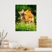 Red Fox Family Wildlife Tender Nature Art Print ポスター (キッチン)
