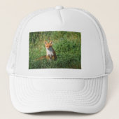 Red fox hat キャップ (正面)