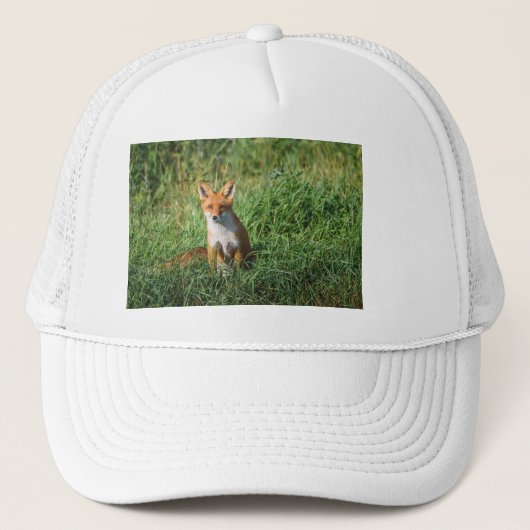 Red fox hat キャップ (正面)