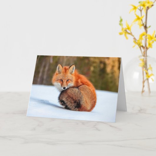 Red Fox In Snow | Yukon カード (黄色い花)