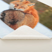 Red Fox In Snow | Yukon シェルパブランケット (3/4)