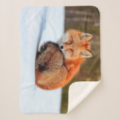 Red Fox In Snow | Yukon シェルパブランケット (正面)