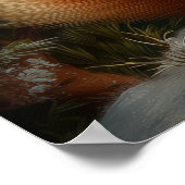 Red fox in winter forest ポスター (角)