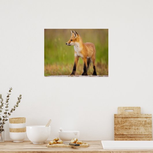 Red Fox Kit ポスター (キッチン)