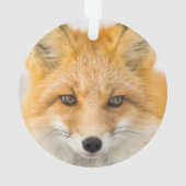 Red Fox Portrait オーナメント (裏面)