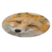 Red Fox Portrait カッティングボード (角)