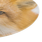 Red Fox Portrait カッティングボード (角)