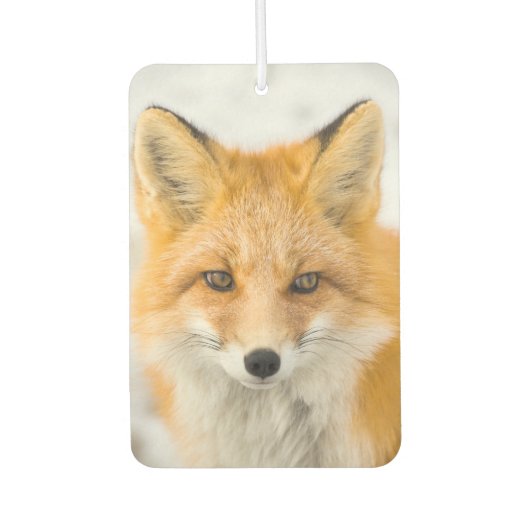Red Fox Portrait カーエアーフレッシュナー (正面)