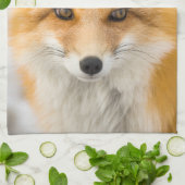 Red Fox Portrait キッチンタオル (折り畳み)