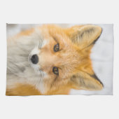 Red Fox Portrait キッチンタオル (横)