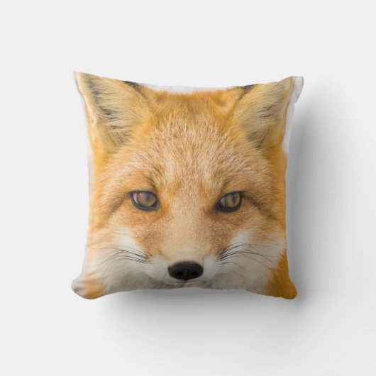 Red Fox Portrait クッション (正面)