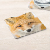 Red Fox Portrait スクエアペーパーコースター (アングル)