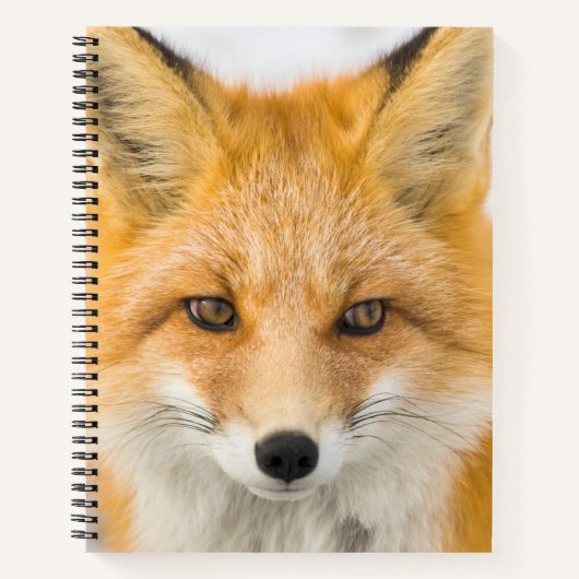 Red Fox Portrait ノートブック (正面)