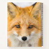 Red Fox Portrait ノートブック (裏面)