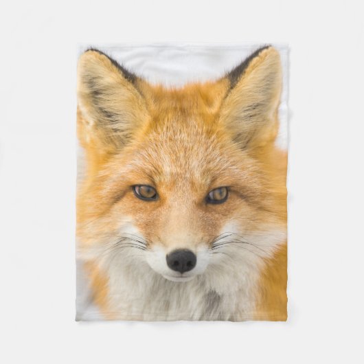 Red Fox Portrait フリースブランケット (正面)