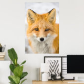 Red Fox Portrait ポスター (ホームオフィス)