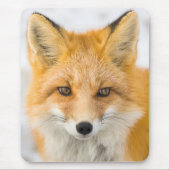 Red Fox Portrait マウスパッド (正面)