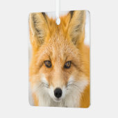 Red Fox Portrait メタルオーナメント (正面左)