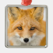 Red Fox Portrait メタルオーナメント (正面)