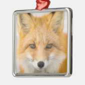 Red Fox Portrait メタルオーナメント (左)