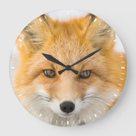 Red Fox Portrait ラージ壁時計 (正面)