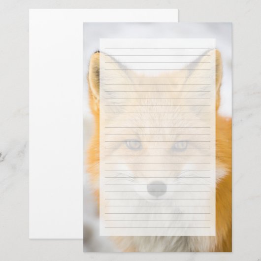 Red Fox Portrait 便箋 (正面/裏面)