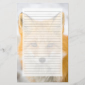 Red Fox Portrait 便箋 (正面)