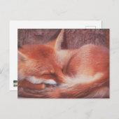 Red Fox POSTCARD ポストカード (正面/裏面)