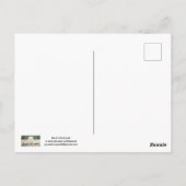 Red Fox POSTCARD ポストカード (裏面)