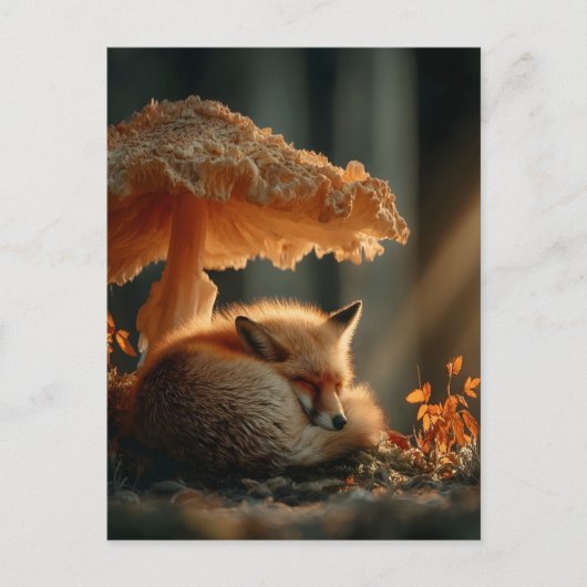 Red Fox Sleeping Under Giant Mushroom シーズンポストカード (正面)