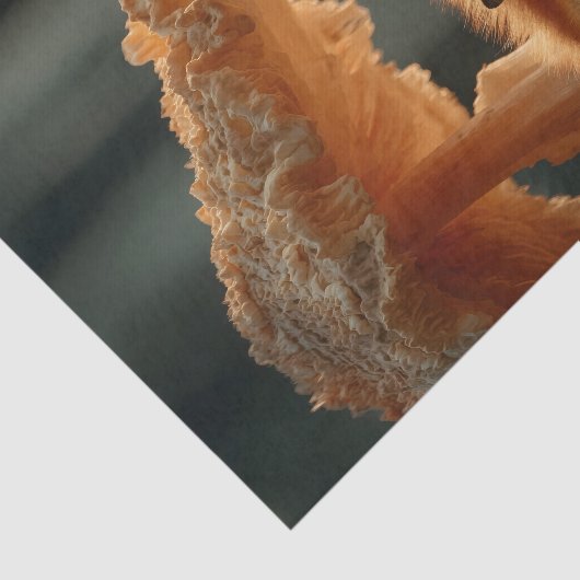 Red Fox Sleeping Under Giant Mushroom 薄葉紙 (詳細)