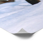 Red Fox | Snow in Winter, Montana ポスター (角)