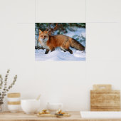 Red Fox | Snow in Winter, Montana ポスター (キッチン)