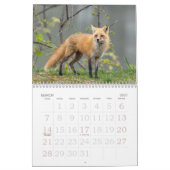 Red Foxes Calendar カレンダー (3月 2027)