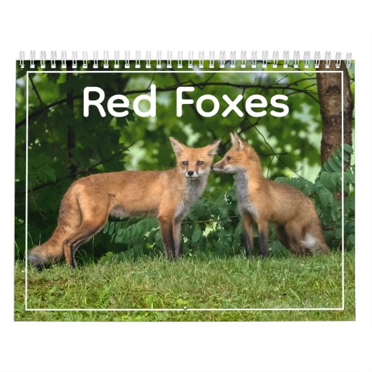Red Foxes Calendar カレンダー (カバー)