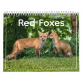Red Foxes Calendar カレンダー (カバー)