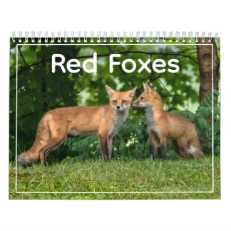 Red Foxes Calendar カレンダー