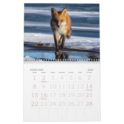 Red Foxes Calendar カレンダー (2月 2026)