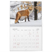 Red Foxes Calendar カレンダー (1月 2026)