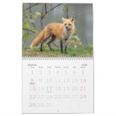 Red Foxes Calendar カレンダー (3月 2026)