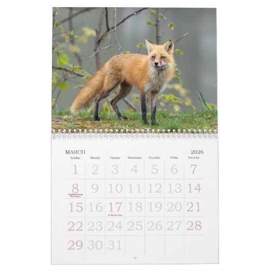 Red Foxes Calendar カレンダー (3月 2026)