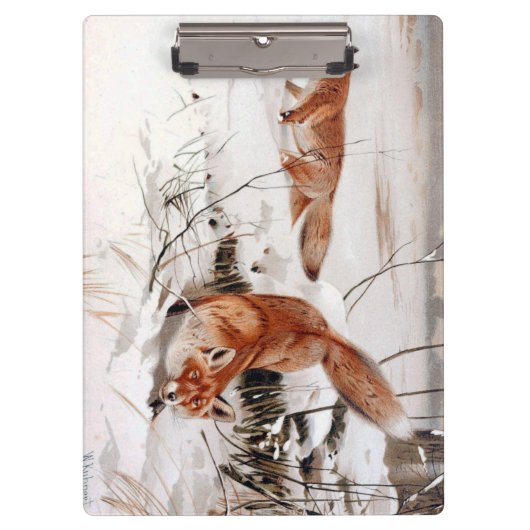Red Foxes in Snow at Winter (by Wilhelm Kuhnert) クリップボード (正面)