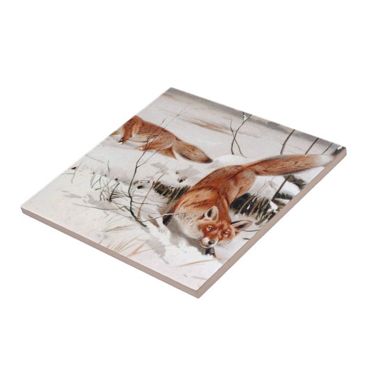 Red Foxes in the Winter Snow (by Wilhelm Kuhnert) タイル (側面)