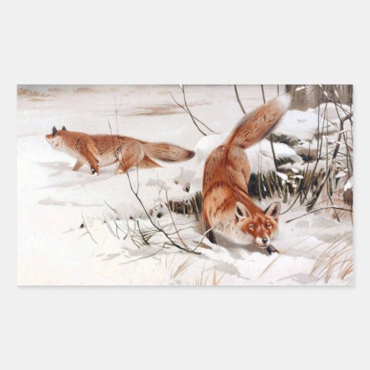 Red Foxes in the Winter Snow (by Wilhelm Kuhnert) 長方形シール (正面)