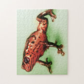Red Frog, Wild Animal Sketch in Green & Red ジグソーパズル (縦)